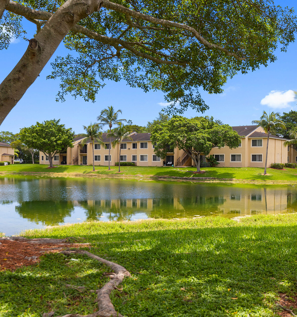 Colony Lakes